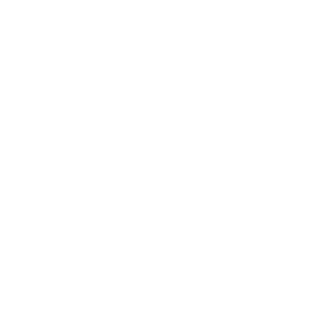 Fawkes Agency